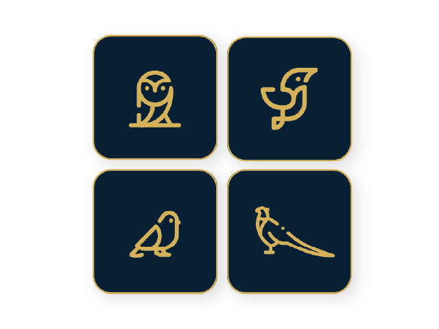 Four bird icons in blue squares