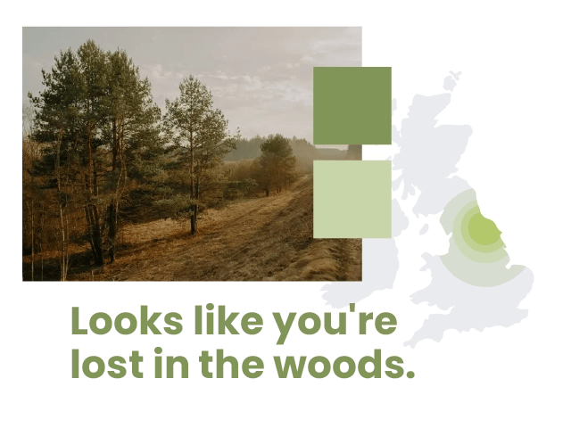A collection of components used on the Redeswood website design